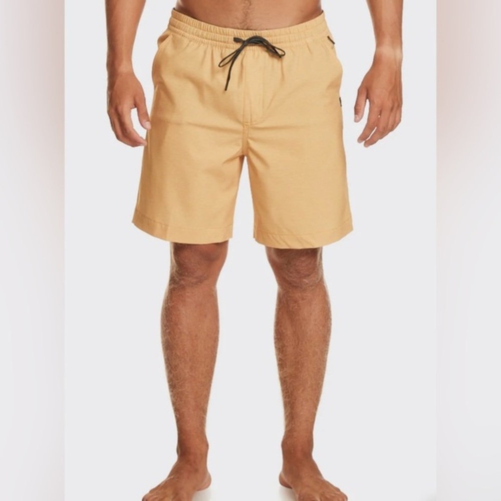 Quicksilver Taxer Heather Amphibian BoardShorts